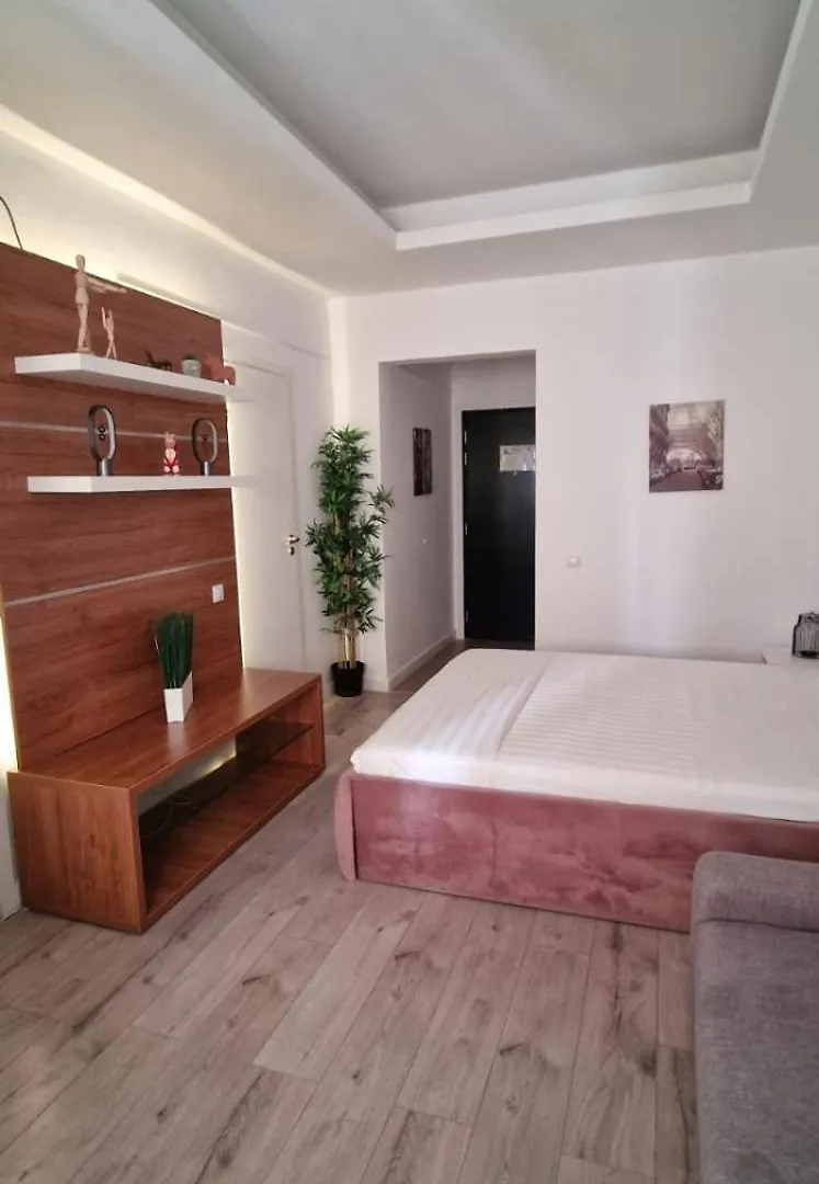 Carol - City Vibes Studio Bucureşti România